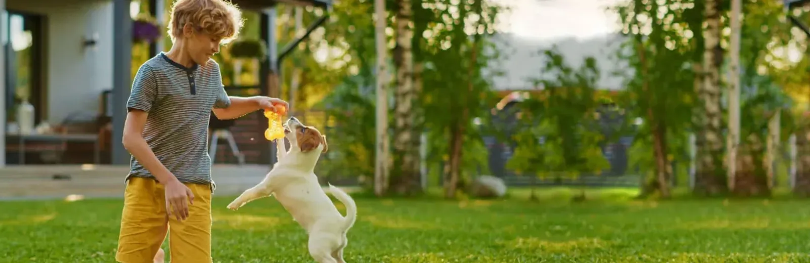 Kid playing with dog